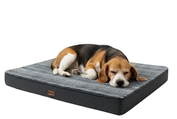 Honden kussen voor bench of gewoon in huis met 79% korting bij bol