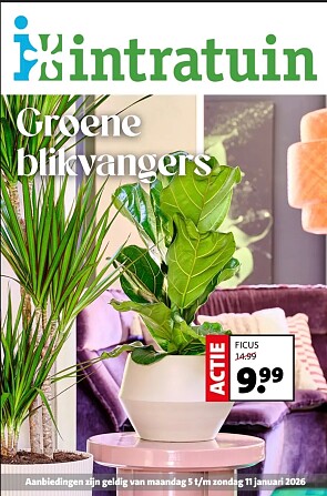 Image of citrusplant