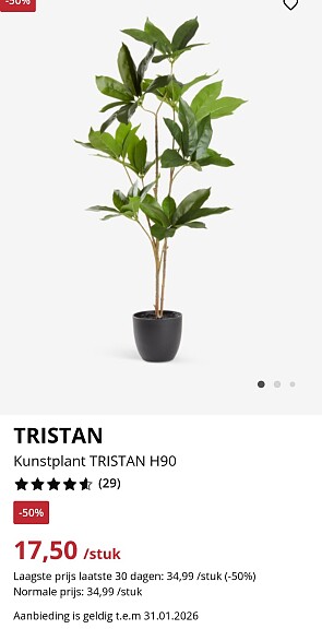 TRISTAN Kunstplant TRISTAN H90 -50%