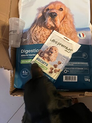20% korting op kwalitatief voer voor honden en katten