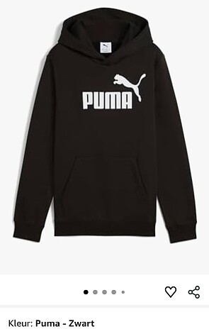 Image of puma