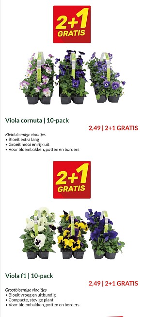 Huishoudartikelen -20%, Viooltjes 2+1 gratis