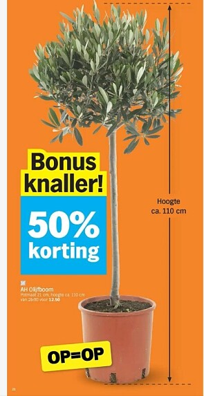 Ah olijfboom -50% bij Albert Heijn