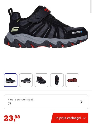Image of skechers