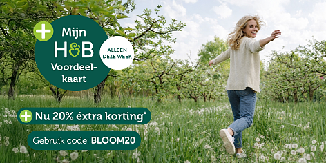 Lentekriebels bij Holland en Barret