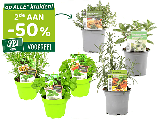 Kruidendagen bij Horta