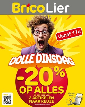 -20% bij Brico Lier