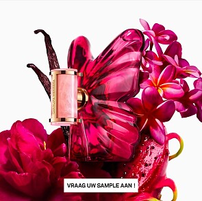 Gratis staaltje La Bomba Eau de Parfum