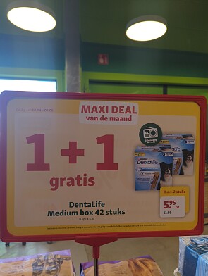 Dentalife medium box 1 + 1 gratis