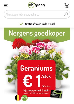 Geraniums koopje Oh’Green