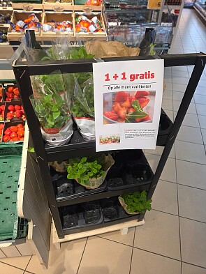 Verse muntplantjes 1 + 1 gratis