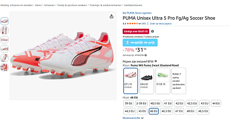 Image of puma