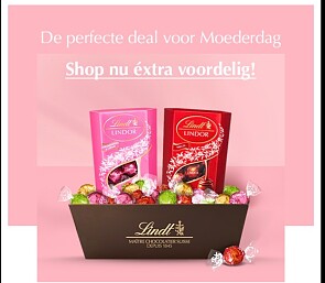 Lindt Cadeaubundel 700g