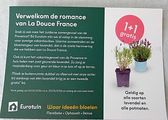 Lavendel 1+1