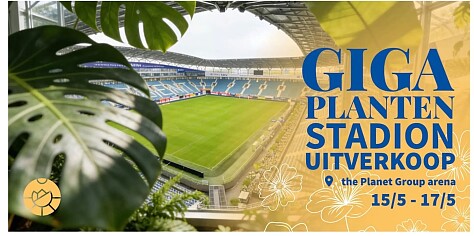 Image of citrusplant