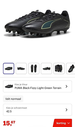 Image of puma
