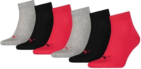 Image of puma
