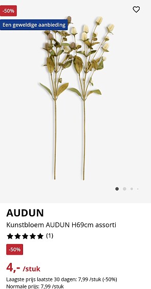 -50% kunstbloem AUDUN H69cm assorti