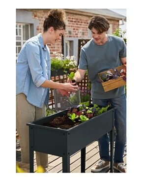 -42% verhoogde moestuinbak