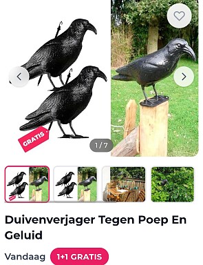 Duivenverjager tegen poep en geluid