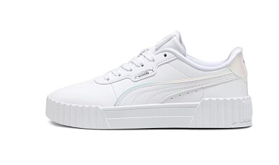 Image of puma