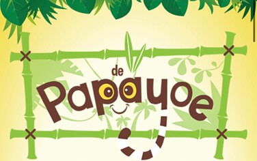 Gratis terugkom ticket Papayoe