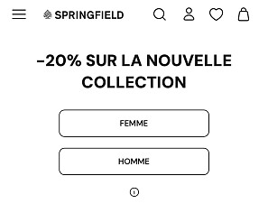 Image of springfield