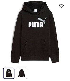 Image of puma
