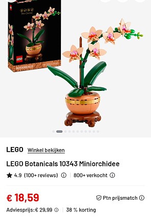 LEGO Botanicals 10343 Miniorchidee