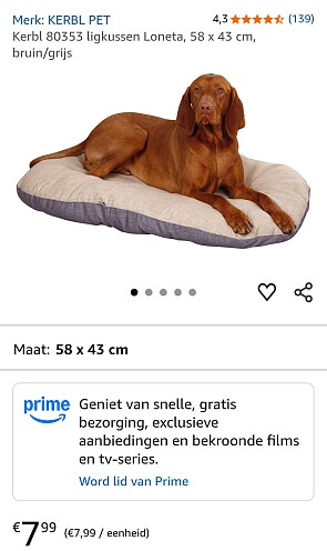 Hondenkussen voor 7,99€!