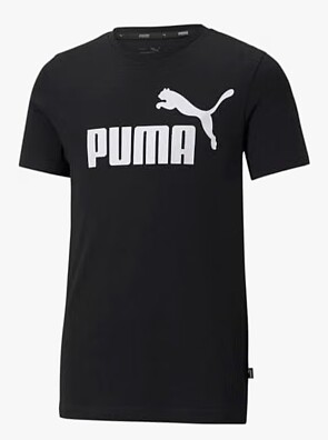 Image of puma