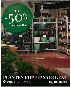 Image of perkplanten