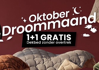 1 + 1 op dekbedden zonder overtrek