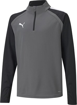 Image of puma