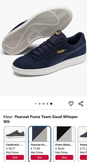 Image of puma