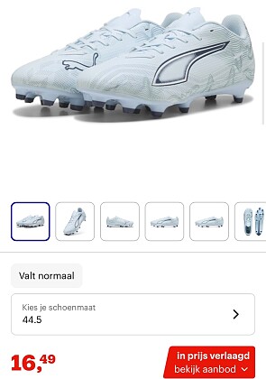 Image of puma