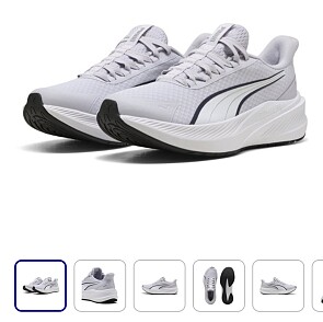 Image of puma