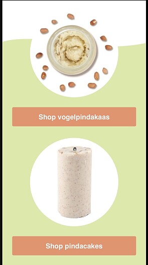 vettraktaties voor tuinvogels