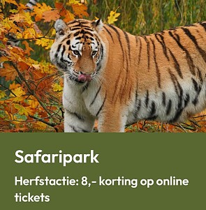 Beekse Bergen herfstactie