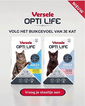 Gratis staaltje natvoer voor katten🐈