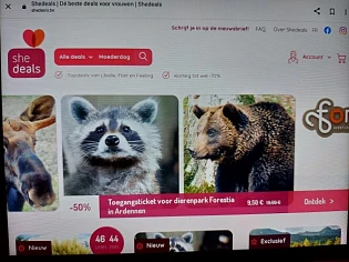 shedeals.be -50% toegangsticket voor dierenpa...
