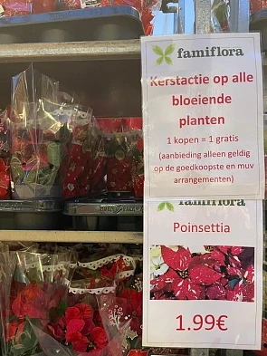 Bij Famiflora in Adinkerke 📍 1+1 gratis op b...