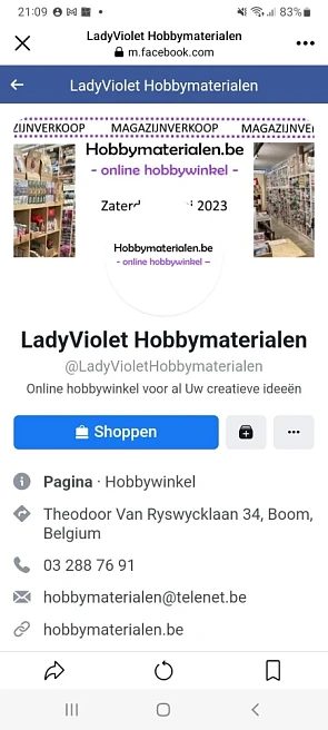 Magazijnverkoop online hobbywinkel in Theodoo...
