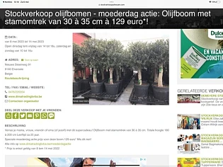 Stockverkoop olijfbomen - moederdag actie: Ol...
