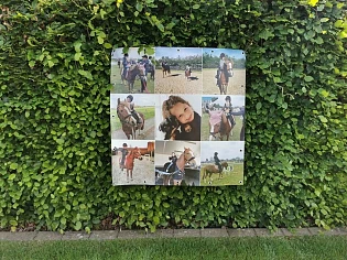 Blij met mijn tuinposter die is toegekomen 😍...