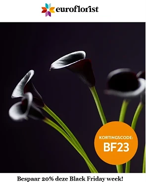 20% korting op het volledige assortiment boek...