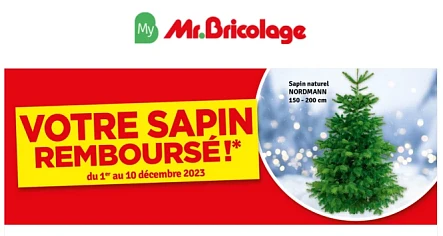 Bij Mr. Bricolage - Een kerstboom Nordmann 15...