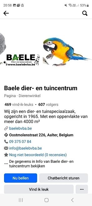 Aigle rijlaarzen aan 10€ per paar bij Baele t...