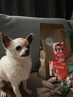Mijn chihuahua Tabasco moest nieuwe brokjes h...