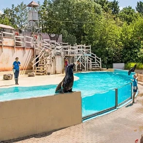 🎡🐬 -34% op Boudewijn Seapark tickets 😍 Sle...